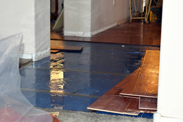 Professional Water Damage Restoration technician working in Merchantville, NJ